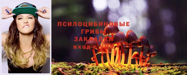 мдма Ладушкин